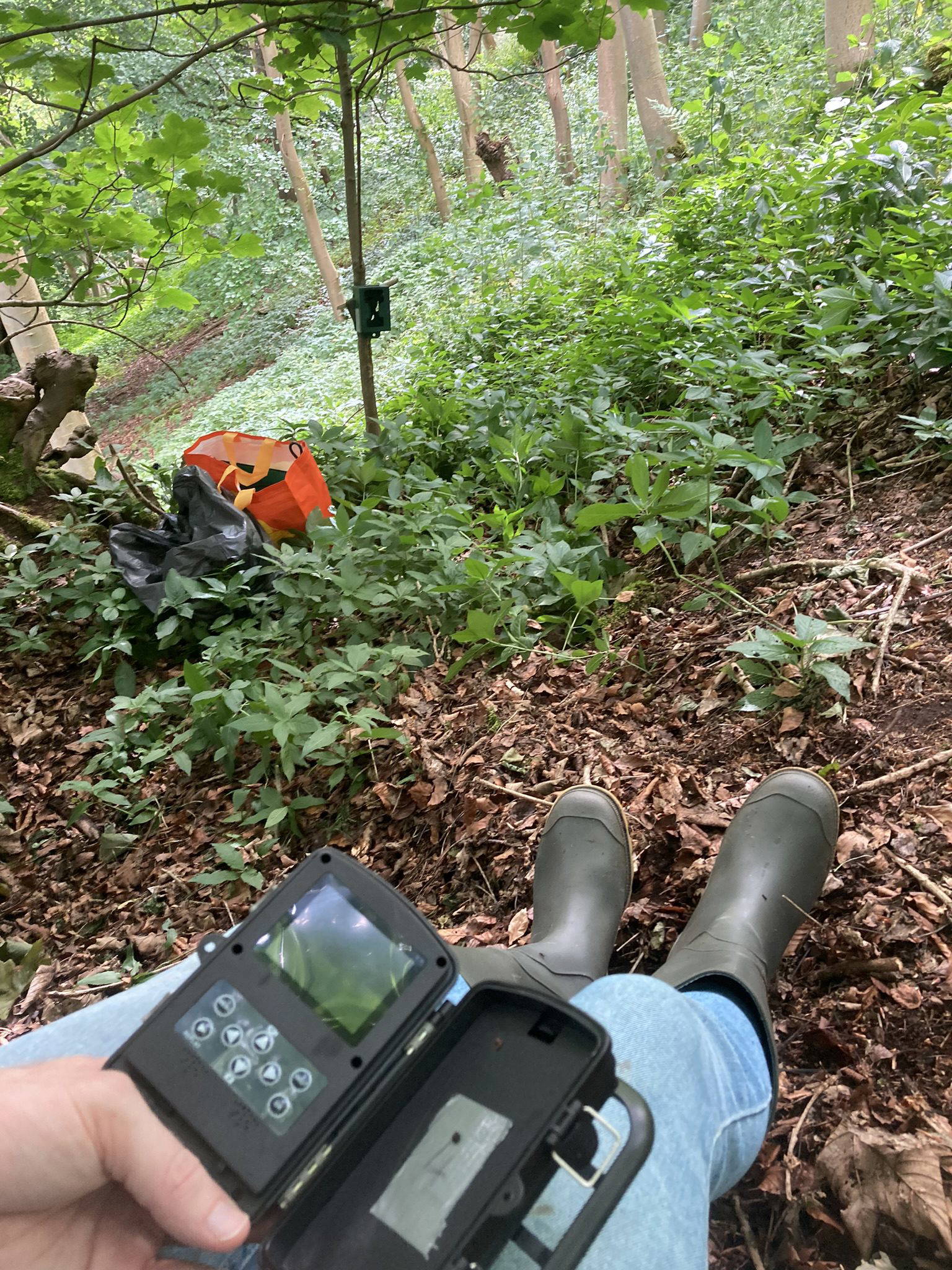 Trail camera 2