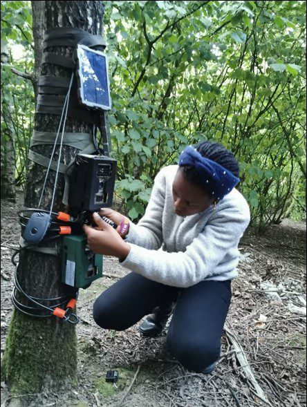 Trail camera 1