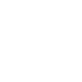 Data coding icon