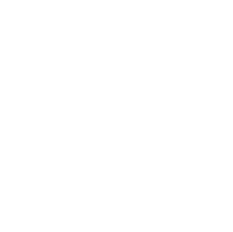 Puzzle feeder icon