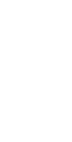 Trail camera icon